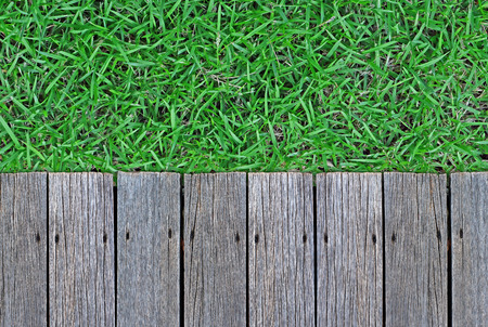 Grass with a wooden board walkway backgroundの写真素材