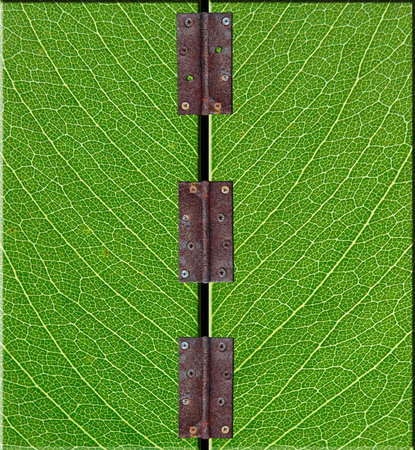 Old rusty door hinge on green leaf texture