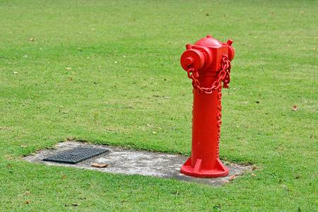 red fire hydrant on the greensward