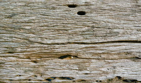 Textured old wooden backgroundの写真素材