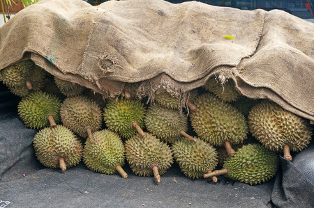 Durian pile on the truck