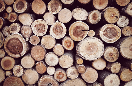 pattern of brown wood log background texture, vintage style