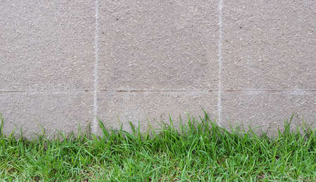 Grass with a stone wall backgroundの写真素材
