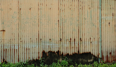 Rusty corrugated iron wall with green grass and weeds.