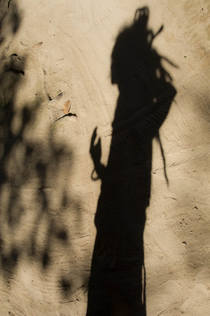 Shadows of people in various  stance on soil background.の写真素材