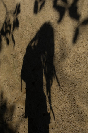 Shadows of people in various  stance on soil background.の写真素材