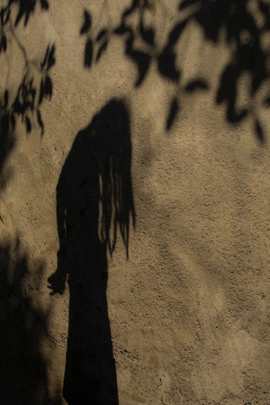 Shadows of people in various  stance on soil background.