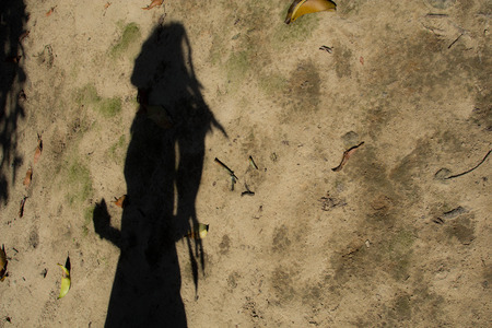 Shadows of people in various  stance on soil background.の写真素材