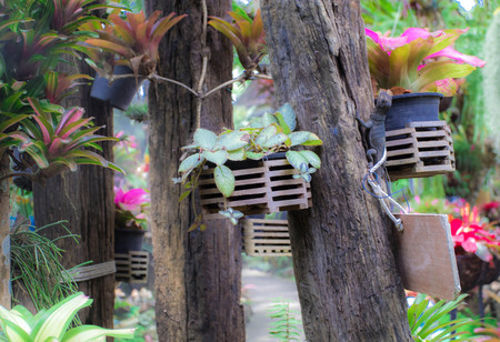 garden of designの写真素材