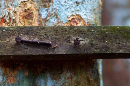 Old nails hammered into woodの写真素材