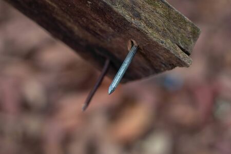 Old nails hammered into woodの写真素材