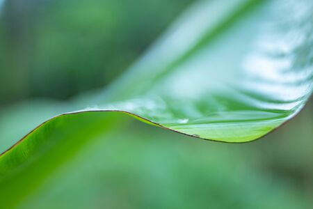 Drops of dew all around after the rainの写真素材