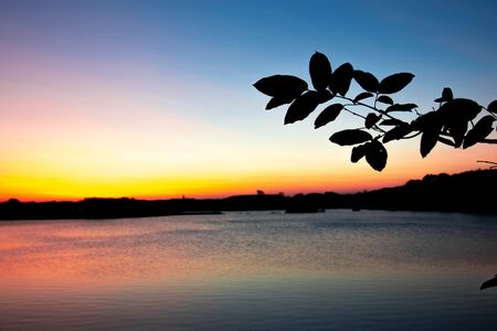 Evening atmosphere on the edge of a large swamp.When the sun goes down.の写真素材