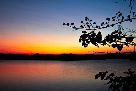 Evening atmosphere on the edge of a large swamp.When the sun goes down.の写真素材