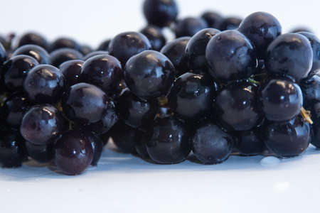 grapes fruit fresh foodの写真素材
