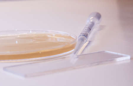 petri dish with syringe with white background
