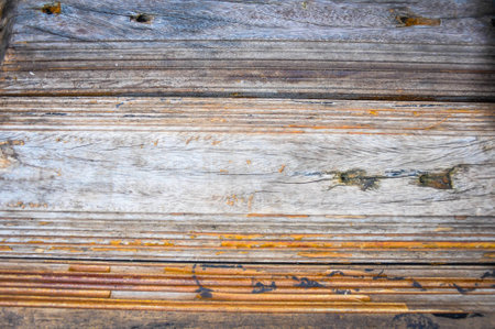 wood texture background