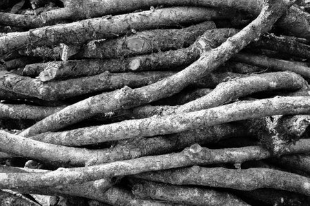 Timber backgroundの写真素材