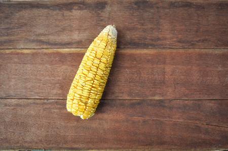 dried corn backgroundの写真素材
