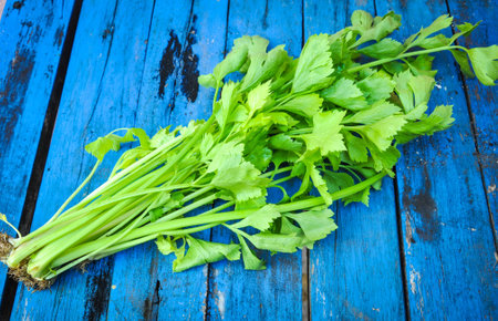 Organic corianderの写真素材