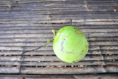 Coconutの写真素材