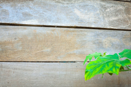 Old wood texture for backgroundの写真素材