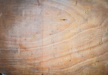 wood texture backgroundの写真素材