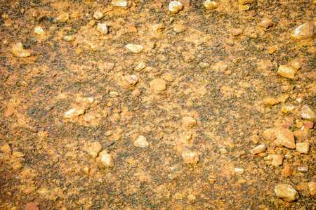 laterite soil