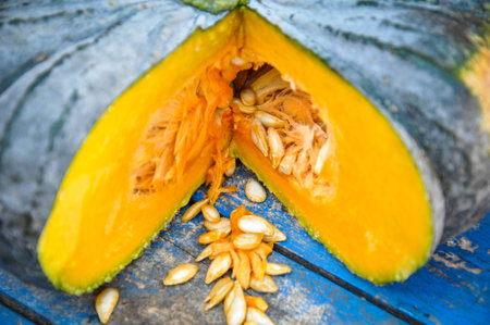 Pumpkin on the blue tableの写真素材