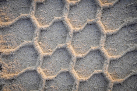 Tire tracks on the beach White.