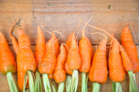 Fresh organic carrot