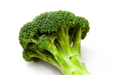 A piece of broccoliの写真素材