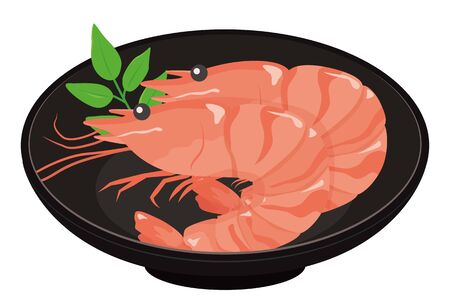 Shrimp Boiled / Japanese New Year Dishes / osechiのイラスト素材