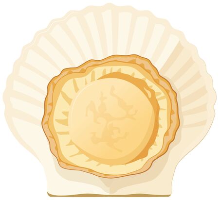 Fresh scallop shell. Seafood.The Menu Design Element of a Fish Restaurant, Market or Store.のイラスト素材