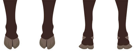 Cow legs and distortion. Vector illustrationのイラスト素材