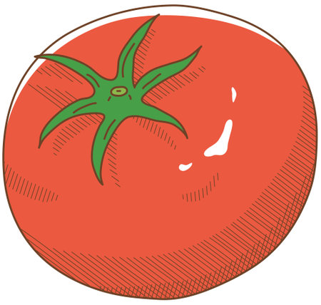 Vector illustration of vegetables "tomato"のイラスト素材