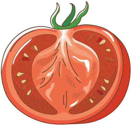 Vector illustration of vegetables "tomato"のイラスト素材