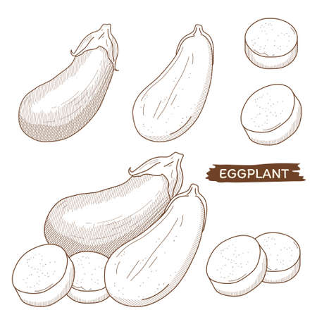 Vector illustration of vegetables "eggplant"のイラスト素材