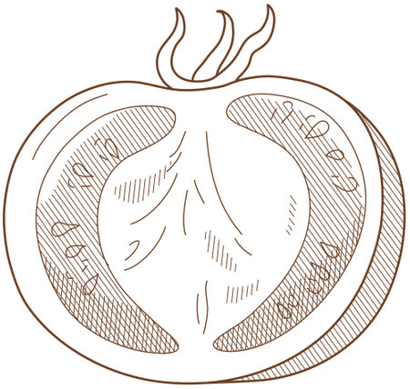 Vector illustration of vegetables "tomato"のイラスト素材