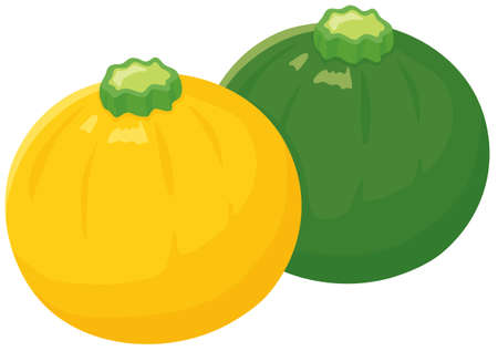 Vector illustration of vegetables "Round zucchini"のイラスト素材