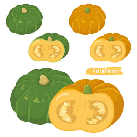Vector illustration of vegetables "pumpkin"のイラスト素材