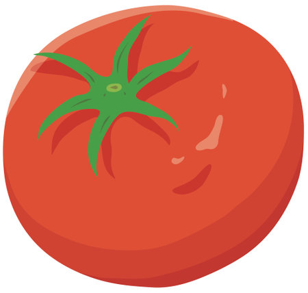 Vector illustration of vegetables "tomato"のイラスト素材