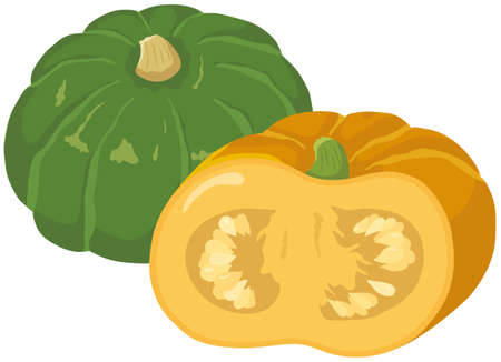 Vector illustration of vegetables "pumpkin"のイラスト素材