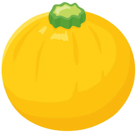 Vector illustration of vegetables "Round yellow zucchini"のイラスト素材