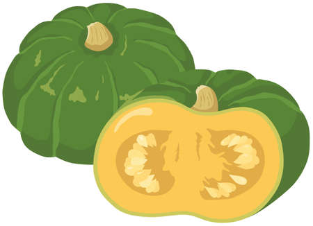 Vector illustration of vegetables "pumpkin"のイラスト素材