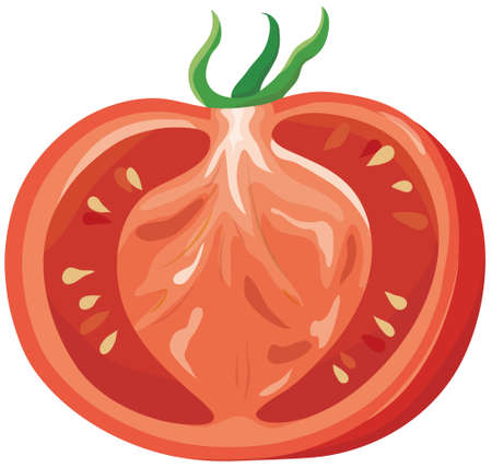 Vector illustration of vegetables "tomato"のイラスト素材