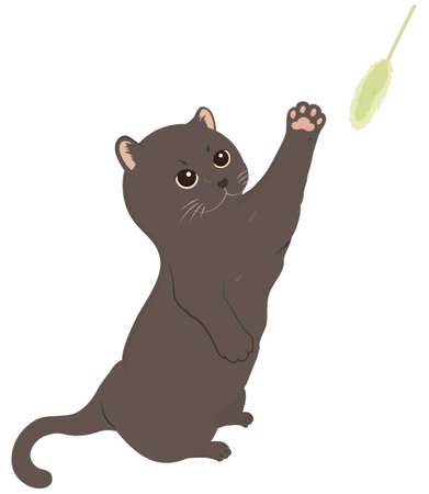 A black cat playing with toys. Vector illustrationのイラスト素材