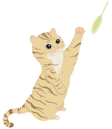 A cat playing with toys. Vector illustrationのイラスト素材