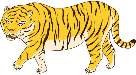 A powerful tiger. Vector illustrationのイラスト素材