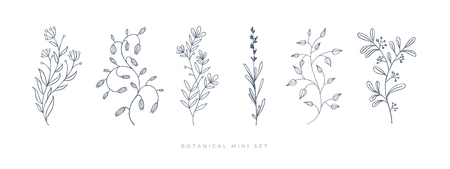 Hand drawn flower on white isolated background. Botanical illustration. Decorative floral picture.vvvvのイラスト素材